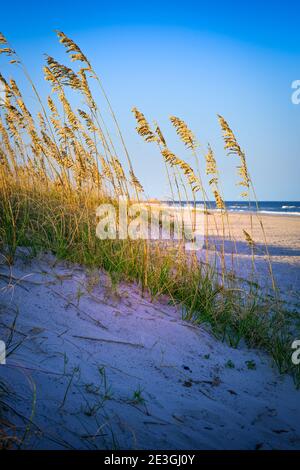 Una vista serena dell'erba marina che copre le dune in primo piano con un lontano Oceano Atlantico sulla spiaggia di Fernandina, sull'isola di Amelia, FL Foto Stock