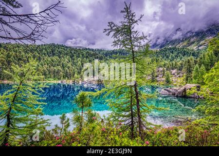 Belle riflessioni sulle alpi svizzere Lago di Saoseo, HDR Foto Stock