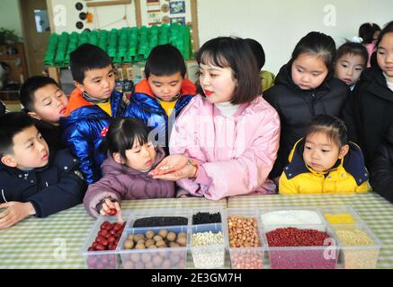 Xuzhou, Cina. 18 gennaio 2021. Per portare avanti la cultura tradizionale, un insegnante sta insegnando ai bambini la conoscenza dei grani al Laba Festival nell'asilo nido di Xuzhou, Jiangsu, Cina il 18 gennaio 2021.(Foto di TPG/cnsphotos) Credit: TopPhoto/Alamy Live News Foto Stock