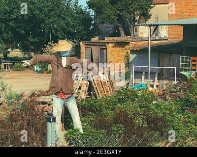 uno scarecrow in un cappello marrone nel mezzo di il campo con una casa sullo sfondo Foto Stock