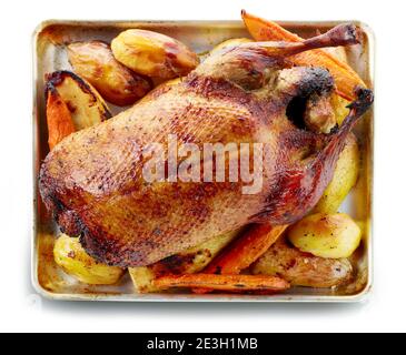 anatra appena tostata e verdure su teglia da forno isolato su sfondo bianco, vista dall'alto Foto Stock