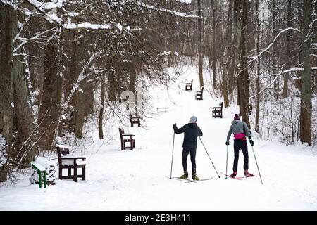 Amici sciatori nordici sci di fondo su una pista in uno splendido paesaggio invernale in inverno in un parco, sport all'aperto, stile di vita sano Foto Stock