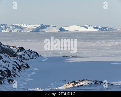 I pescatori e le loro barche ormeggiate in un porto di ghiaccio. Inverno al Icefjord Ilulissat, situato nella baia di Disko nella Groenlandia occidentale, l'Icefjord fa parte Foto Stock