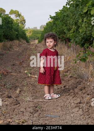 La ragazza del toddler gioca all'aperto nel frutteto dell'albero degli agrumi Foto Stock