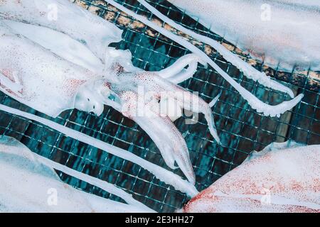 Primo piano di calamari che sono disposti ad asciugare su una rete di fronte a un colorato muro di cemento sull'isola di Cham, Vietnam Foto Stock