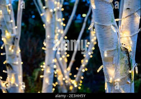 Natale a MediaCityUK, Salford Quays, Salford, Manchester Foto Stock