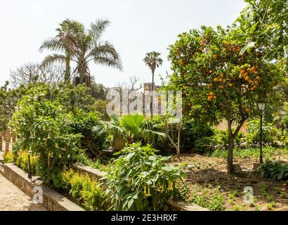 Giardino alla Kasbah del Udayas (Kasbah des Oudaias), Rabat, Marocco Foto Stock