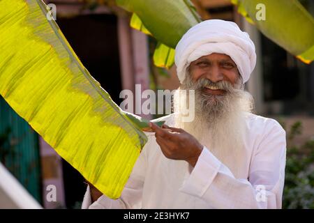 UN VECCHIO FELICE TURBANED IN PIEDI VICINO ALLE FOGLIE DI BANANA Foto Stock