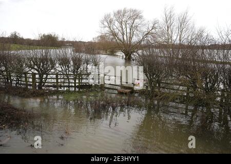 Campo allagato vicino a Thame, Oxfordshire, come Storm Christoph è impostato per portare ampie inondazioni, galere e neve in alcune parti del Regno Unito. Si prevede che la pioggia batte il Regno Unito durante la notte di martedì, con l'ufficio MET di avvertimento case e aziende sono probabilmente sommerse, causando danni ad alcuni edifici. Data immagine: Martedì 19 gennaio 2021. Foto Stock