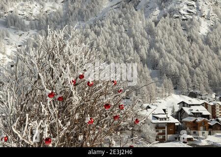 Una bella foto invernale di Natale di Saas-Almagell in Vallese, Svizzera. Il Vallese è una destinazione invernale e una regione vinicola rinomata in tutto il mondo. Foto Stock