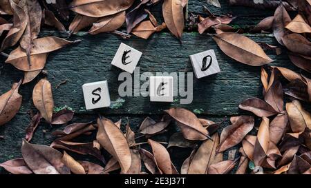 primo piano (fuoco selezionato) di gamberi di fiume giganti freschi o gamberi di acqua dolce giganti con sfondo bianco isolato Foto Stock