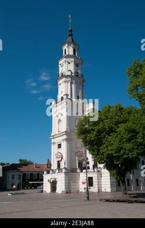 Town Hall, Kaunas, Lituania Foto Stock