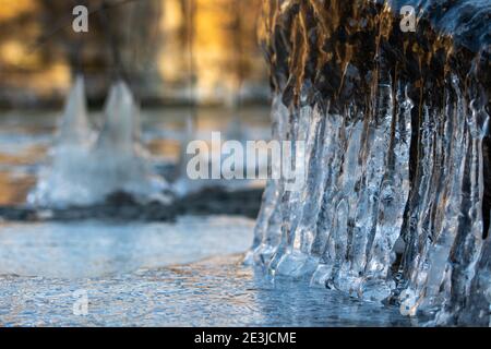Primo piano di icicles appesi a radici, rami e rocce che si formavano accanto a un ruscello. Foto Stock