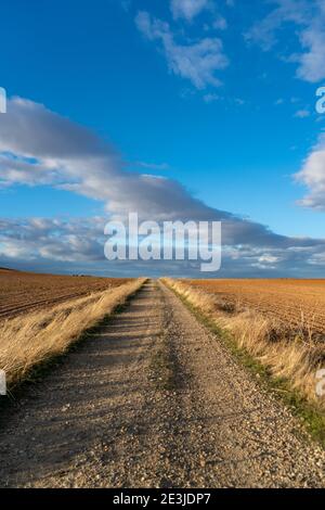Strada polverosa attraverso un bellissimo paesaggio erboso in Andalusia in Spagna Foto Stock