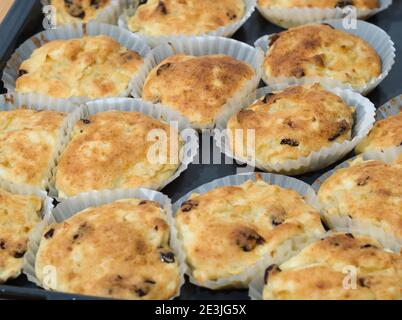 Muffin freschi di mela e formaggio di cottage con uvetta Foto Stock