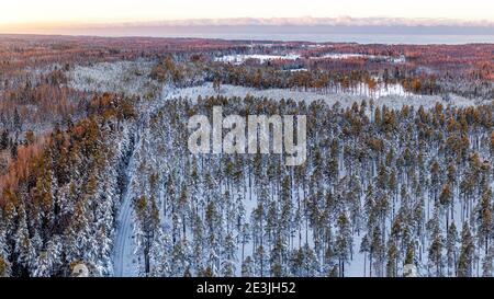 Neve coperta foresta invernale vista dal drone durante l'alba Foto Stock