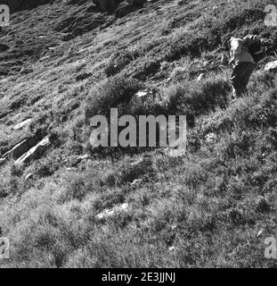 Senior man escursioni nelle Alpi francesi in estate. Anziani benessere, stile di vita sano, godere concetto di vita. Natura viaggio sfondo. Foto in bianco e nero Foto Stock