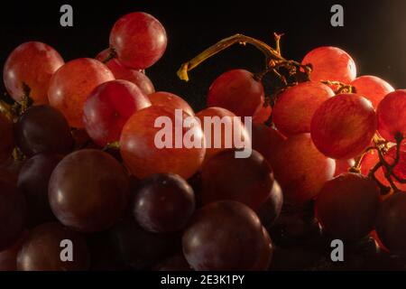 Primo piano di grappoli di uve rosse su lastra nera. Illuminazione intima. Concetto di delicatezza, purezza del prodotto. Messa a fuoco selettiva. Foto Stock