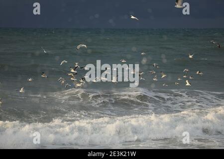 Gaza, la striscia di Gaza, la Palestina. 19 gennaio 2021. Spiaggia della città di Gaza. Credit: Hassan Jedi/Quds Net News/ZUMA Wire/Alamy Live News Foto Stock