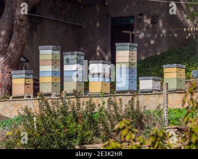 Una fila di alveari vintage, in legno, fatti a mano, colorati in un giardino. Portogallo, periodo invernale. Foto Stock