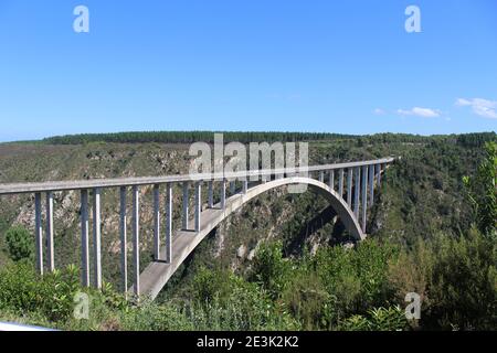 Bloukrans bunjee jumping bridge è un ponte di arco situato vicino la natura della Valle e Knysna in garden route nella Western Cape Africa Foto Stock