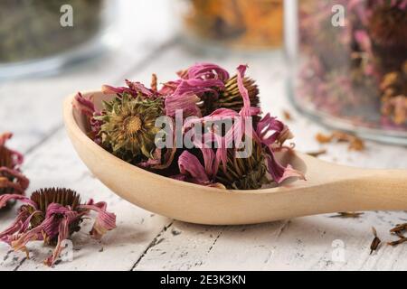 Cucchiaio di legno di sani petali di echinacea e boccioli per la preparazione del tè. Vasetti di vetro di fiori secchi e erbe medicinali sullo sfondo. Medaglia alternativa Foto Stock