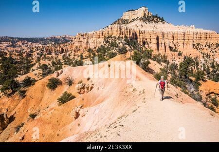 Una donna che percorre il Fairyland Loop Trail nel Bryce Canyon National Park, Utah, USA. Foto Stock