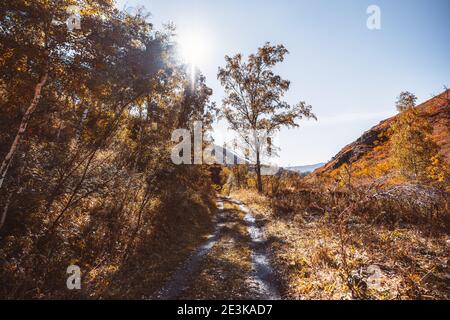 Un luminoso paesaggio montano grandangolare autunnale retroilluminato da un caldo sole, con una strada terrestre che si estende in lontananza circondata da colline di cui si è sorpassata Foto Stock