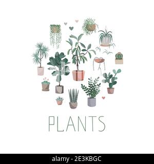 Piante di casa disposte in cerchio, vettore mano disegnata illustrazione carino piante omepianti pentole, cactus e succulenti. Elemento cartoon isolato in Scandinavo Illustrazione Vettoriale