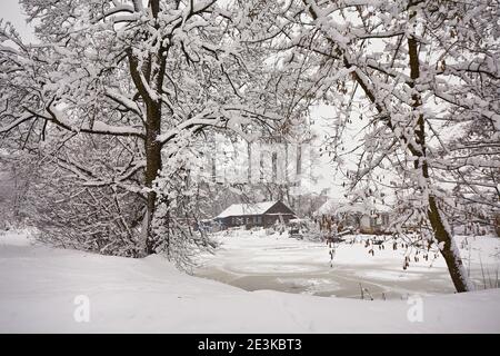 Scenario rurale invernale. Casa vicino lago congelato. Capanna sul lago di gennaio. Alberi sulla riva del fiume ricoperti di neve. Paese delle meraviglie dopo la bizzarda in Belaru Foto Stock