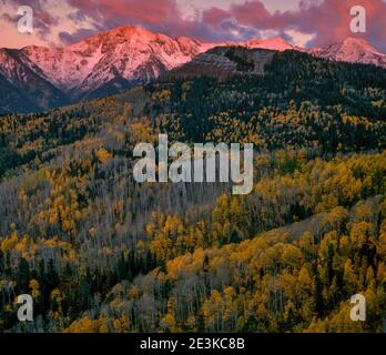 Dawn, Silver Mountain, San Juan National Forest, Colorado Foto Stock