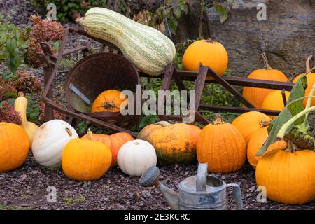 Decorazioni di caduta usando le grondine e arrugginito fuori attrezzatura. Foto Stock