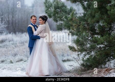 sposi in una passeggiata di nozze in inverno stand insieme e posa per un fotografo vicino a un albero coperto di neve in una bella foresta, la famiglia scatta una foto Foto Stock