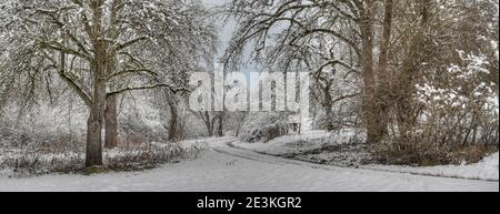 Il sentiero invernale da sogno si snoda attraverso alberi innevati attraverso una valle idilliaca nella Foresta Nera. Foto Stock