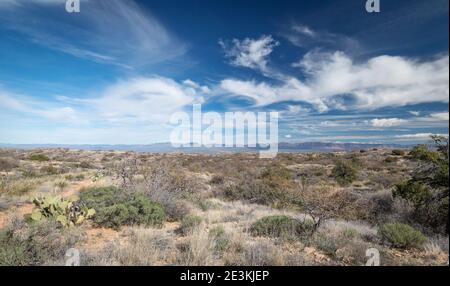 Il bellissimo deserto arizoniano Foto Stock