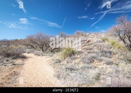 Il bellissimo deserto arizoniano Foto Stock