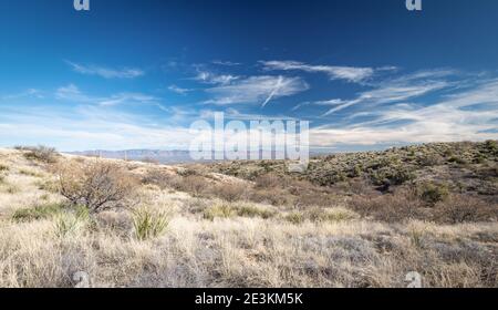 Il bellissimo deserto arizoniano Foto Stock