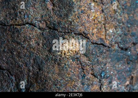 Macro foto della crosta di fusione da un meteorite condrita, pezzo di roccia formato nello spazio esterno nelle prime fasi del sistema solare come asteroidi. Foto Stock