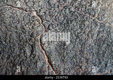 Macro foto della crosta di fusione da un meteorite condrita, pezzo di roccia formato nello spazio esterno nelle prime fasi del sistema solare come asteroidi. Foto Stock