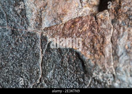 Macro foto della crosta di fusione da un meteorite condrita, pezzo di roccia formato nello spazio esterno nelle prime fasi del sistema solare come asteroidi. Foto Stock