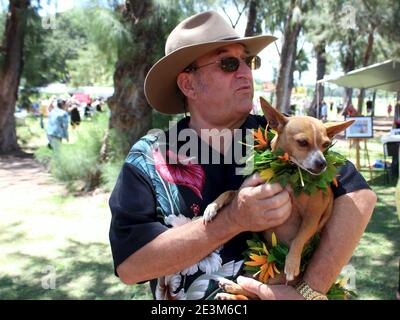 Uomo in camicia hawaiana che tiene un piccolo cane che indossa un lei il giorno lei a Waikiki, Oahu, Hawaii Foto Stock