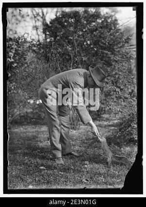 MARSHALL, Thomas Riley. Governatore di indiana, 1909-1913; VICE PRESIDENTE DEGLI STATI UNITI, 1913-1921 Foto Stock
