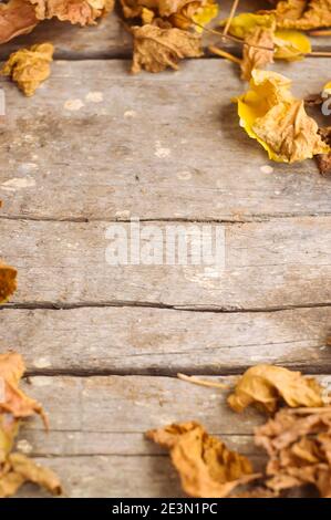 Foglie autunnali asciutte che formano una cornice di bordo su uno sfondo rustico in legno con spazio per le copie Foto Stock