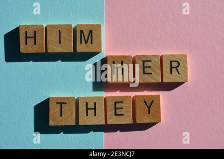 Lui, lei, loro, pronomi di genere, parole in lettere alfabetiche in legno su sfondo rosa e blu Foto Stock