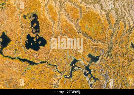 Distretto di Miory, Regione di Vitebsk, Bielorussia. La palude di Yelnya. Torbiere montane e transitori con numerosi laghi. Vista aerea sopraelevata della natura di Yelnya Foto Stock