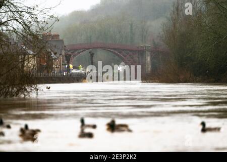 Ironbridge, Shropshire, Regno Unito. 20 gennaio 2020. Mentre Storm Christoph minaccia il Regno Unito con forti piogge e venti, l'Agenzia per l'ambiente sta erigendo barriere alle inondazioni sulle rive del fiume Severn dallo storico Iron Bridge, Shropshire. Il villaggio di Ironbridge è regolarmente sotto alluvione dopo la pioggia pesante cade in Galles. Credit: Peter Lopeman/Alamy Live News Foto Stock