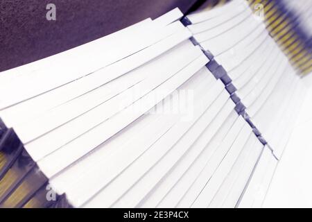 Scaffale per magazzino con prodotti di libri pronti per la spedizione al compratore Foto Stock