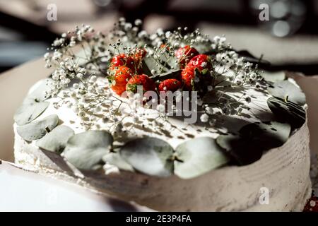 Primo piano di torta nuziale rustica decorata con gypsophila e. fragole Foto Stock