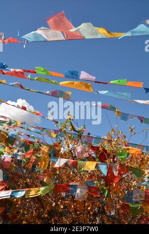 Bandiere di preghiera colorate volano in alto al tempio di Pollo 100 a Shangri la, così chiamato come monaci abituati a prendere un pollo quando sono entrati nel tempio. Foto Stock