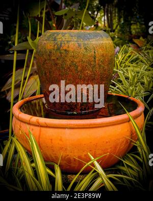 Un grande giardino d'acqua con un'urna di terracotta coperta di licheni, in un lussureggiante giardino tropicale. Foto Stock